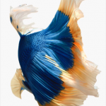 Anhnendepsmartphone_3
