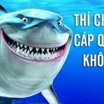 cáp